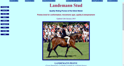 Desktop Screenshot of landemann.com